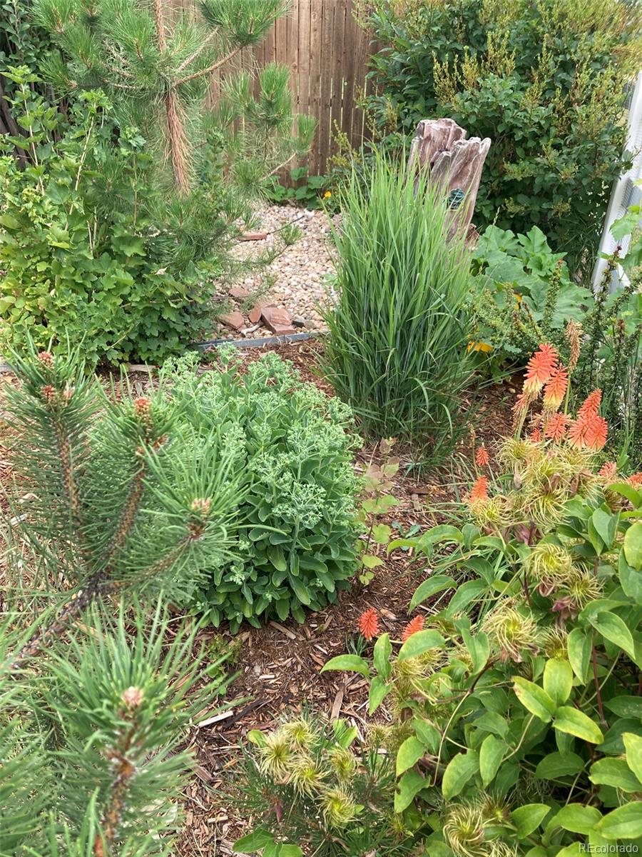 7549 Bantry Court Lone Tree, CO 80124 - Photo 33 of 36