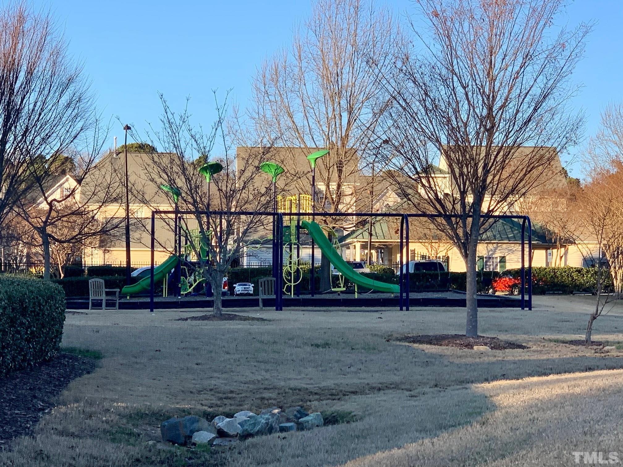 241 Grenoch Valley Lane Apex, NC 27539 - Photo 25 of 27 a view of road with tree