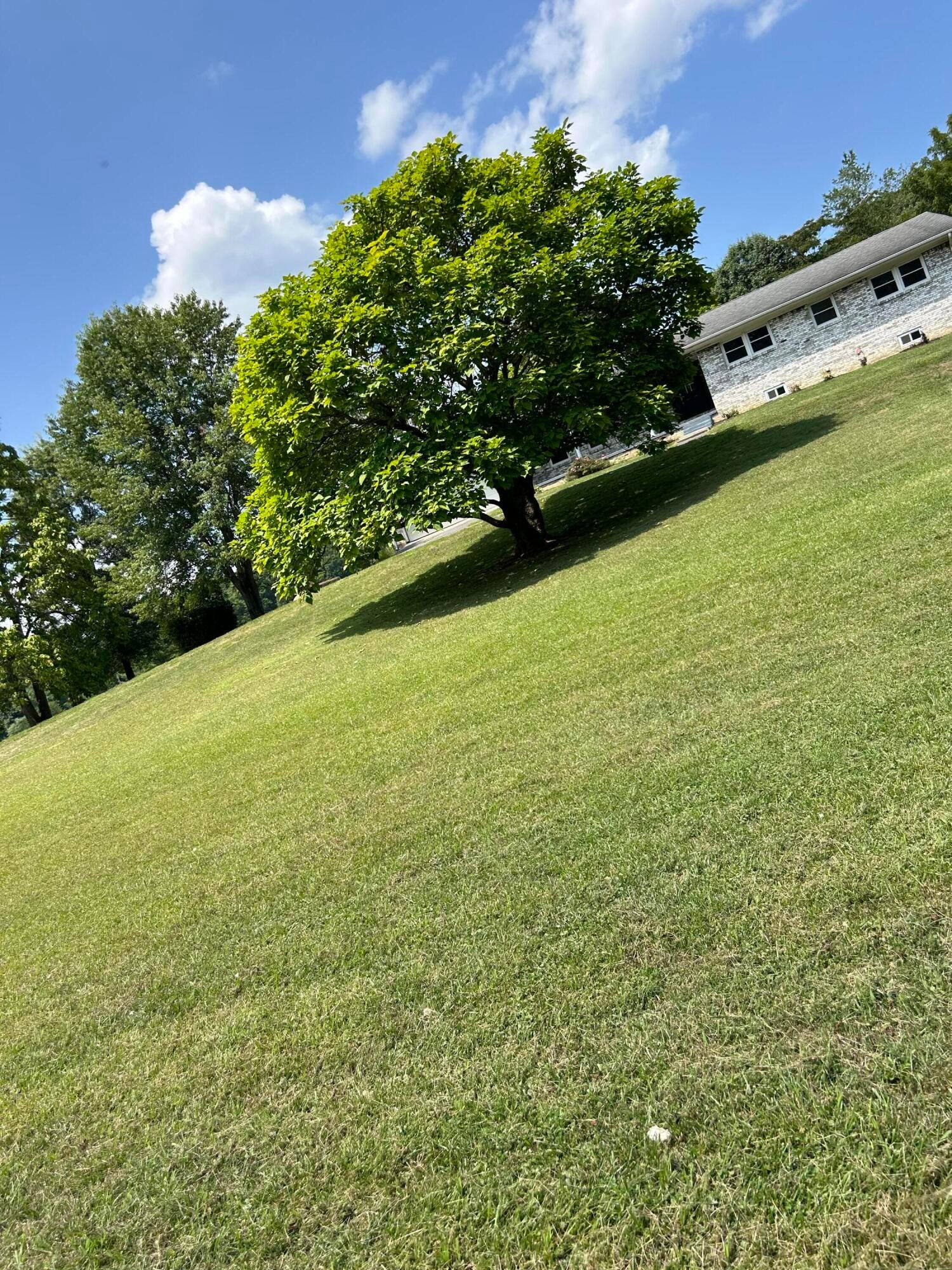 1836 Adair Road Peterstown, WV 24963 - Photo 128 of 138 Gallery Image 128