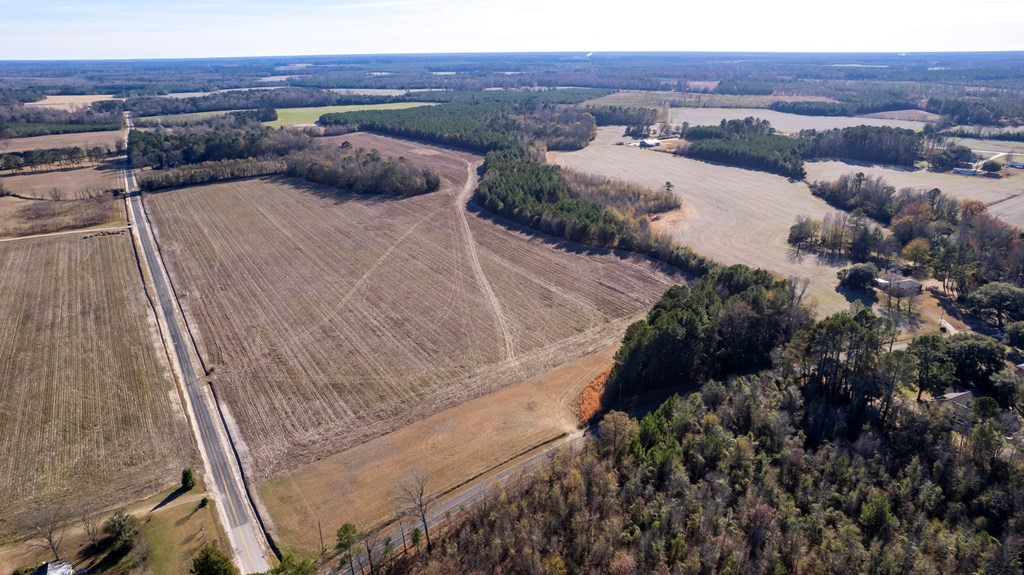 2400 Ike Brunson Road Alcolu, SC 29001 - Photo 8 of 19 Gallery Image 8