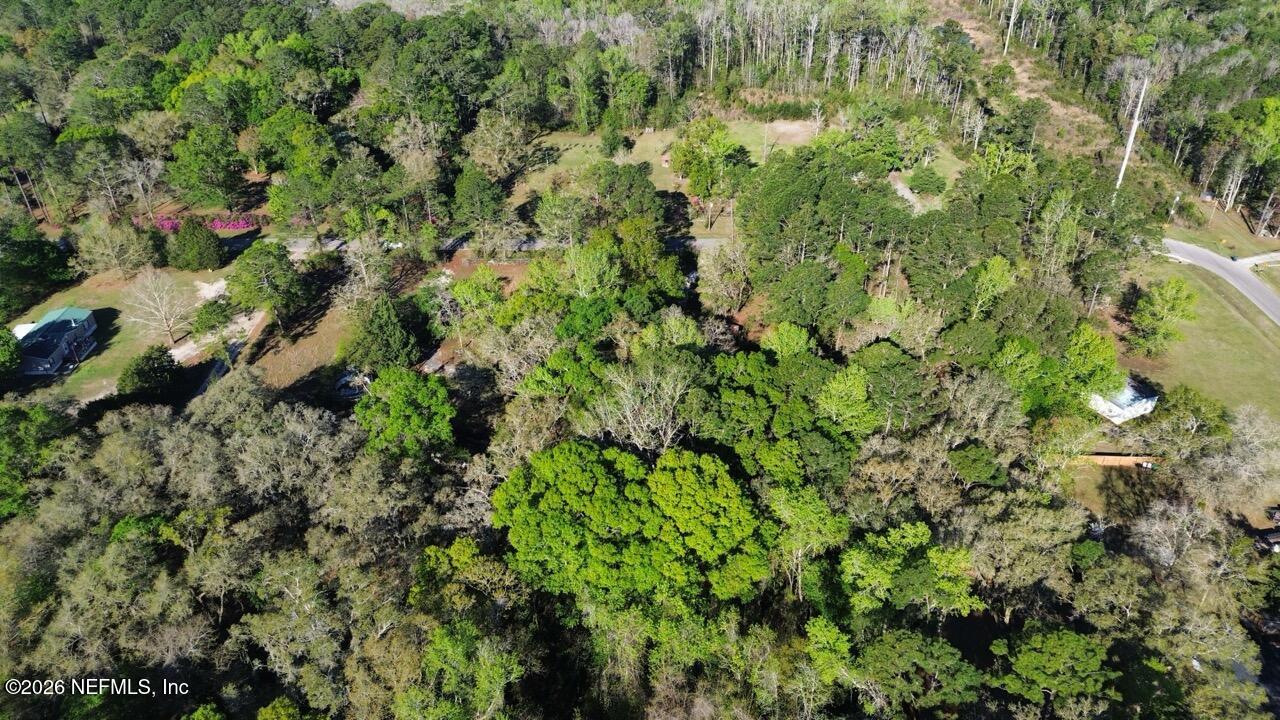 86288 Macaw Road Yulee, FL 32097 - Photo 6 of 29 Aerial view(5)