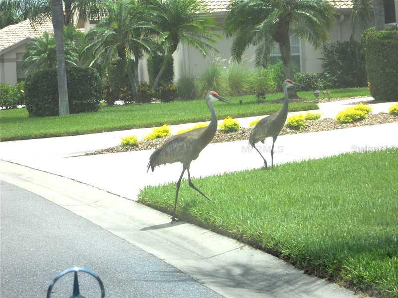 8911 Veranda Way, Unit 222 Sarasota, FL 34238 - Photo 23 of 25 a view of a backyard