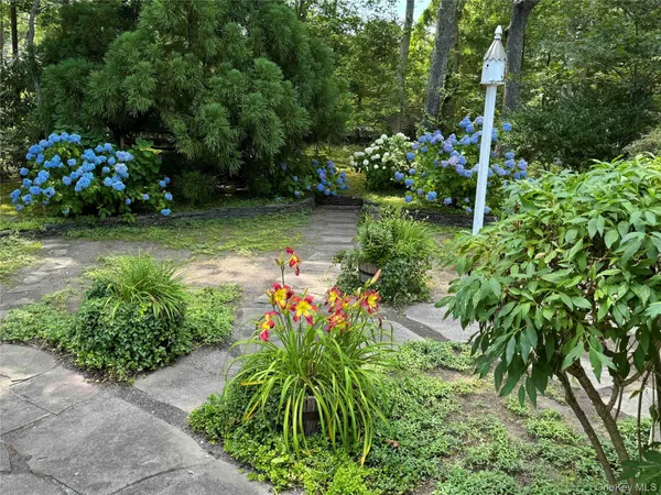 a view of a garden with flowers