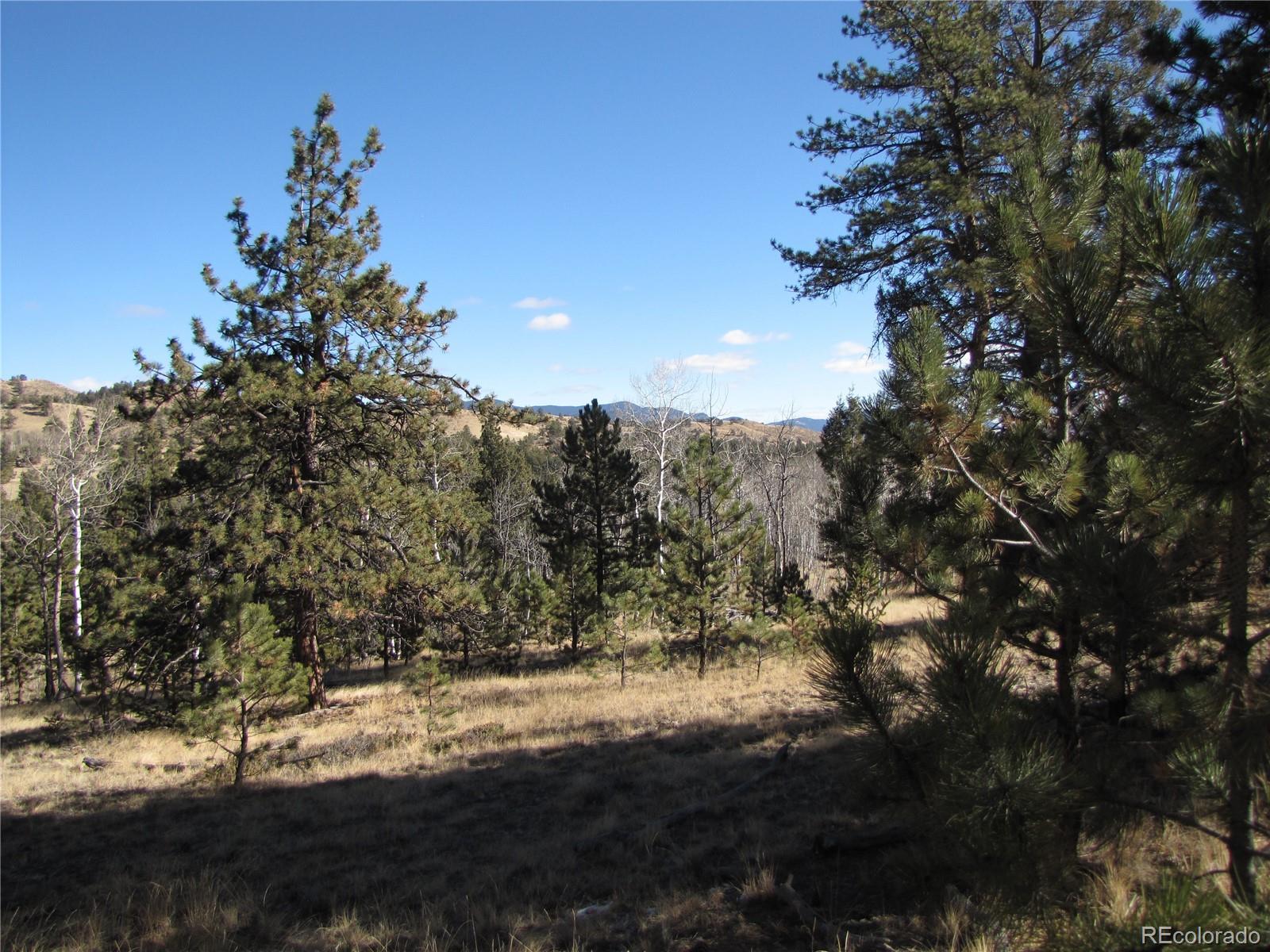 2512 Fitzsimmons Road Hartsel, CO 80449 - Photo 1 of 23