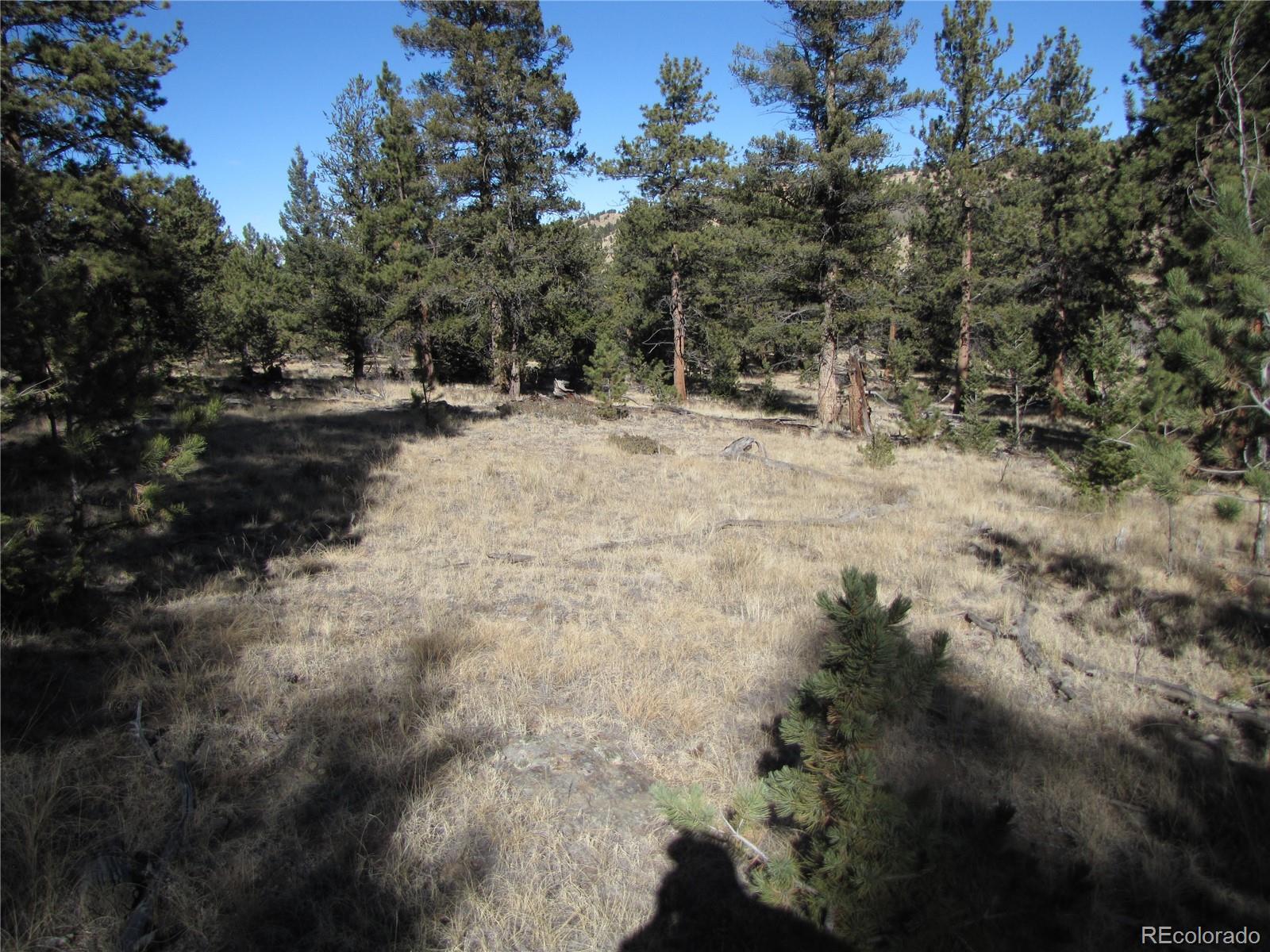 2512 Fitzsimmons Road Hartsel, CO 80449 - Photo 15 of 23