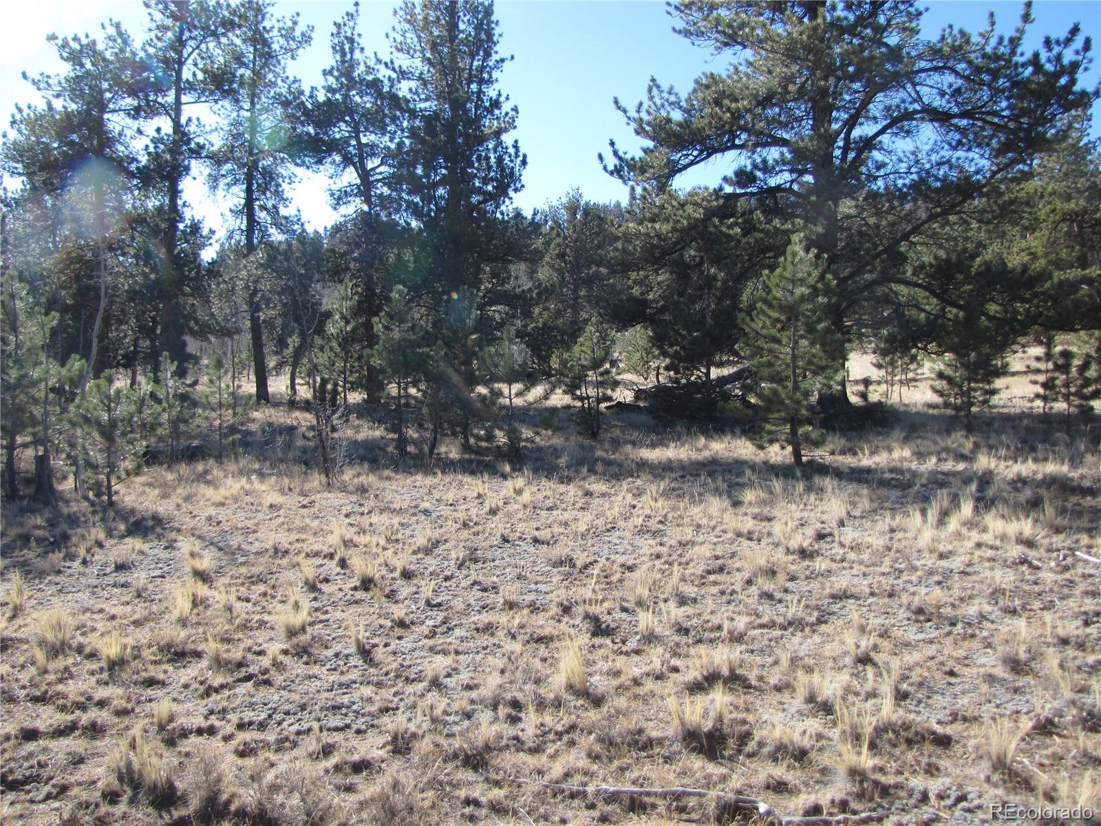 2512 Fitzsimmons Road Hartsel, CO 80449 - Photo 23 of 23