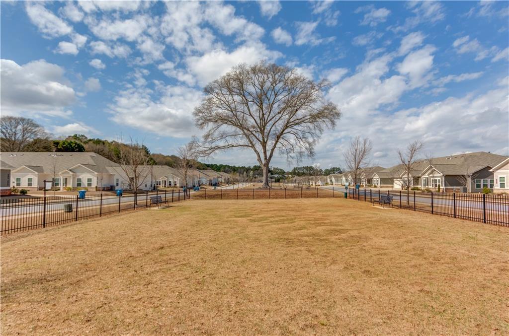 2929 Rambler Drive Loganville, GA 30052 - Photo 26 of 27