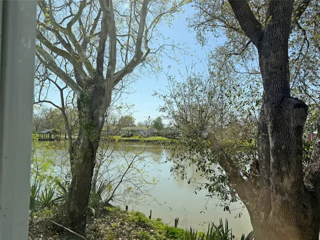 a view of a tree in a yard