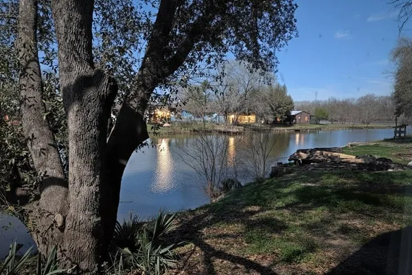 a view of a lake with a tree in the background