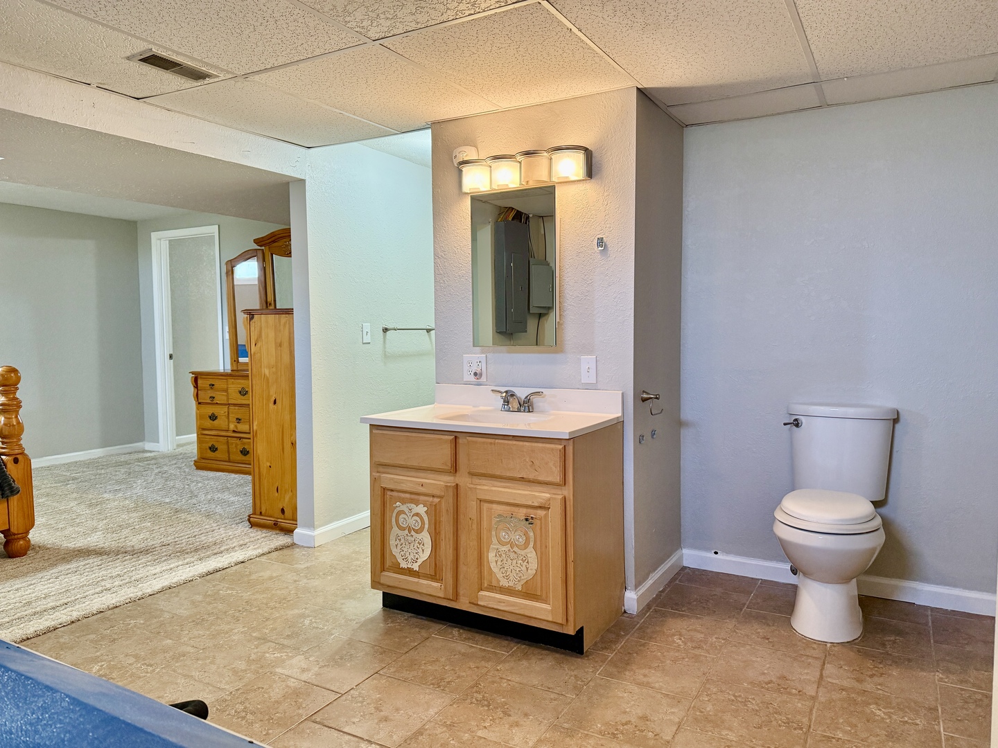 5488 Tick Ridge Road Grand Chain, IL 62941 - Photo 28 of 38 Gallery Image 28