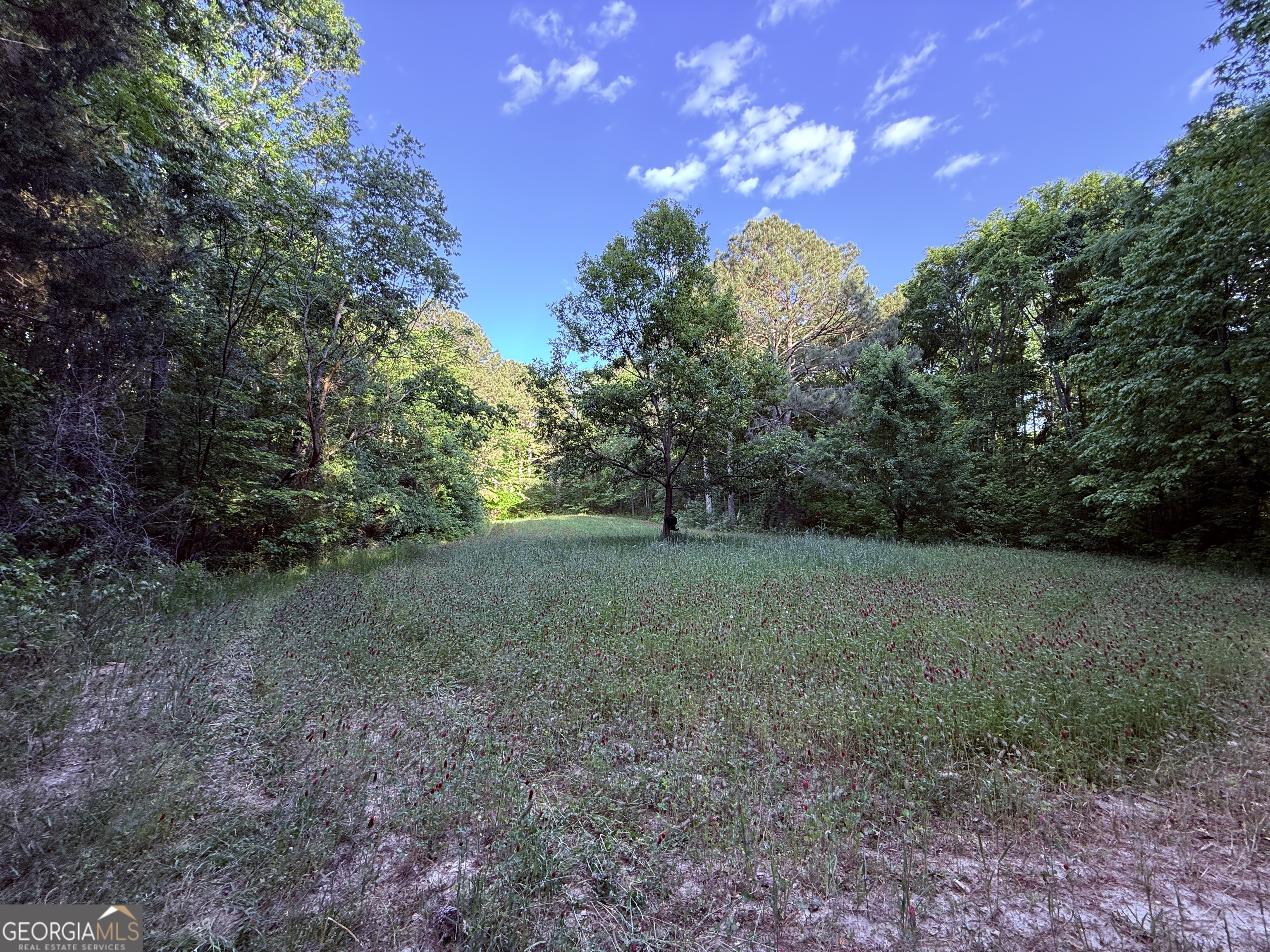 340 Adolphus-Callaway Road Washington, GA 30673 - Photo 5 of 13