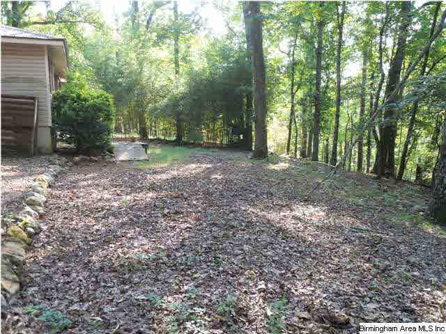 1460 George Crowe Road Odenville, AL 35120 - Photo 6 of 7