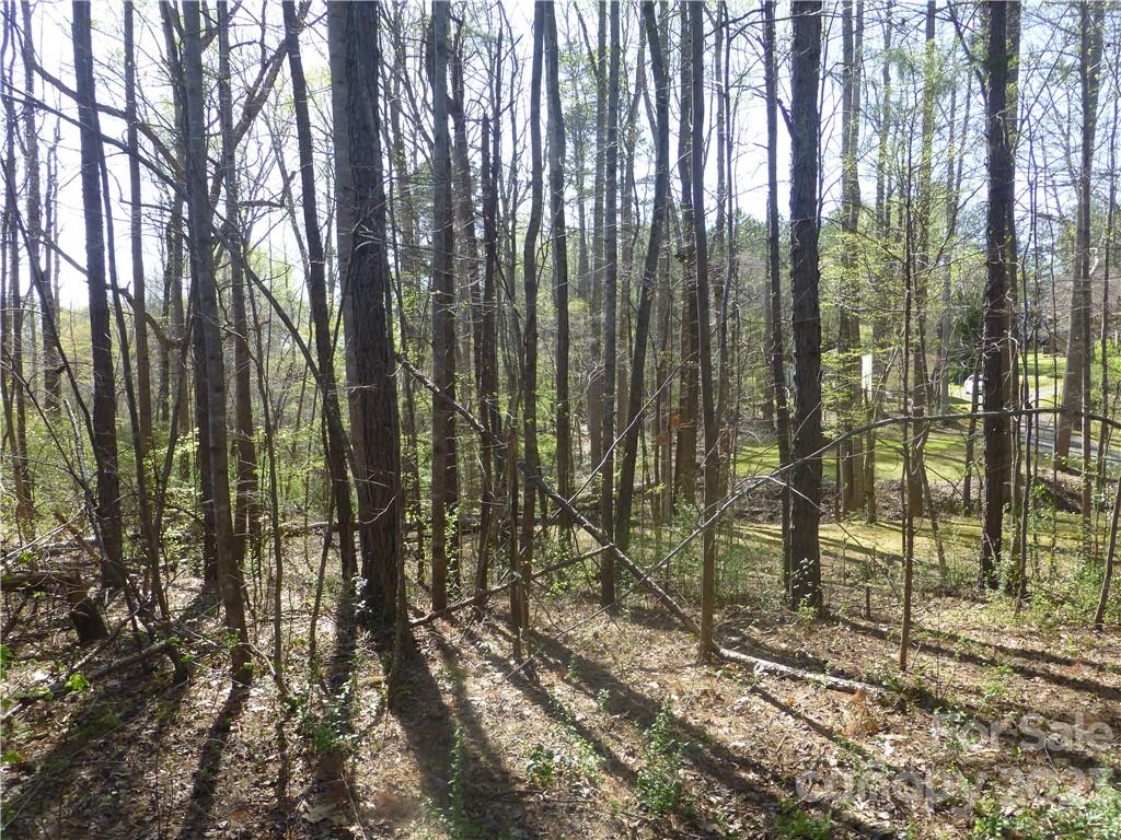 3561 Placid Road Davidson, NC 28036 - Photo 1 of 15 Gallery Image 1