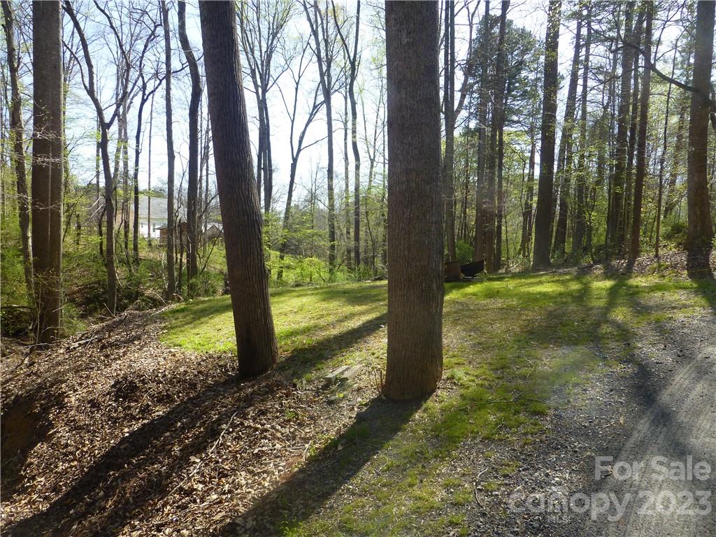 3561 Placid Road Davidson, NC 28036 - Photo 3 of 15 Gallery Image 3