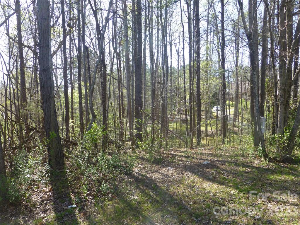 3561 Placid Road Davidson, NC 28036 - Photo 8 of 15 Gallery Image 8