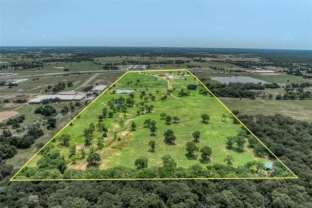 a view of a garden with an outdoor space