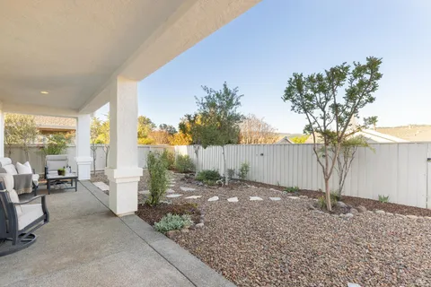 a view of a backyard with plants and outdoor seating