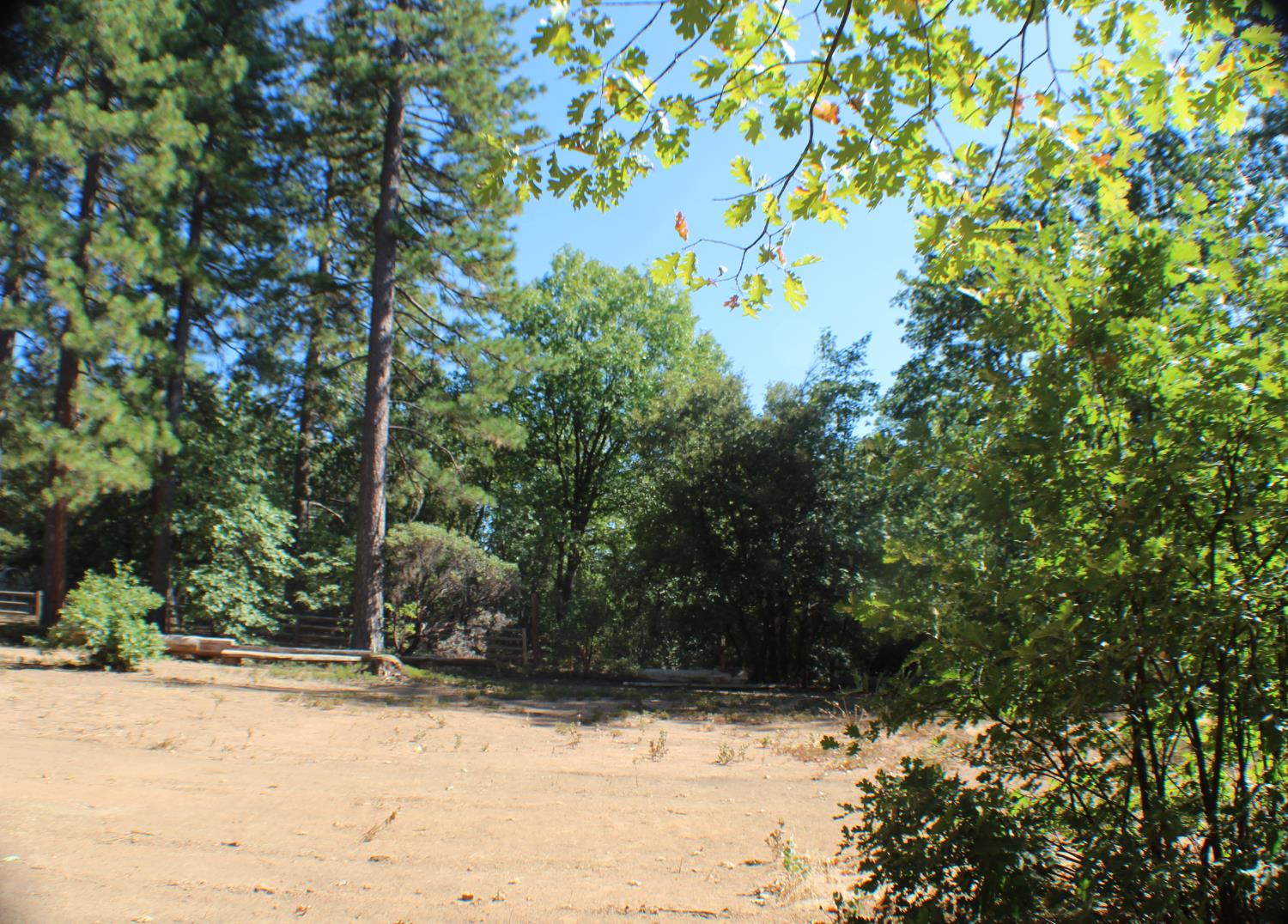 901 Bald Mountain Road West Point, CA 95255 - Photo 17 of 19 a view of a yard covered in snow