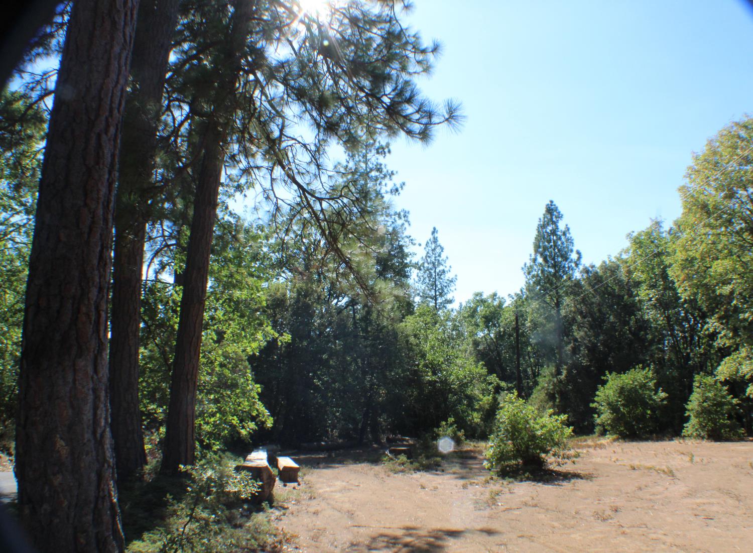 901 Bald Mountain Road West Point, CA 95255 - Photo 3 of 19 a view of a backyard