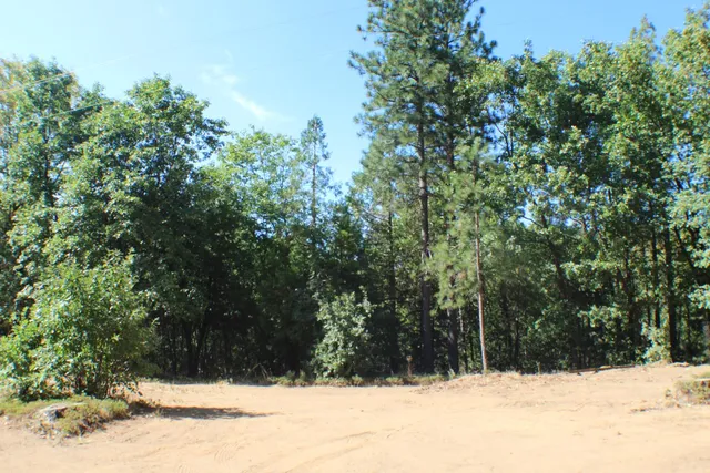 a view of a yard covered in snow