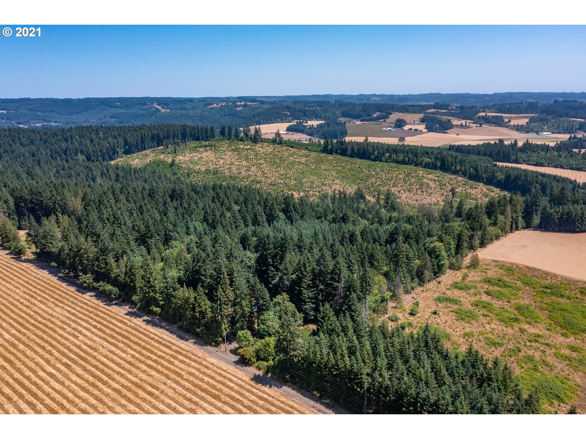 37023 Northwest Hahn Road Banks, OR 97106 - Photo 6 of 32 Gallery Image 6