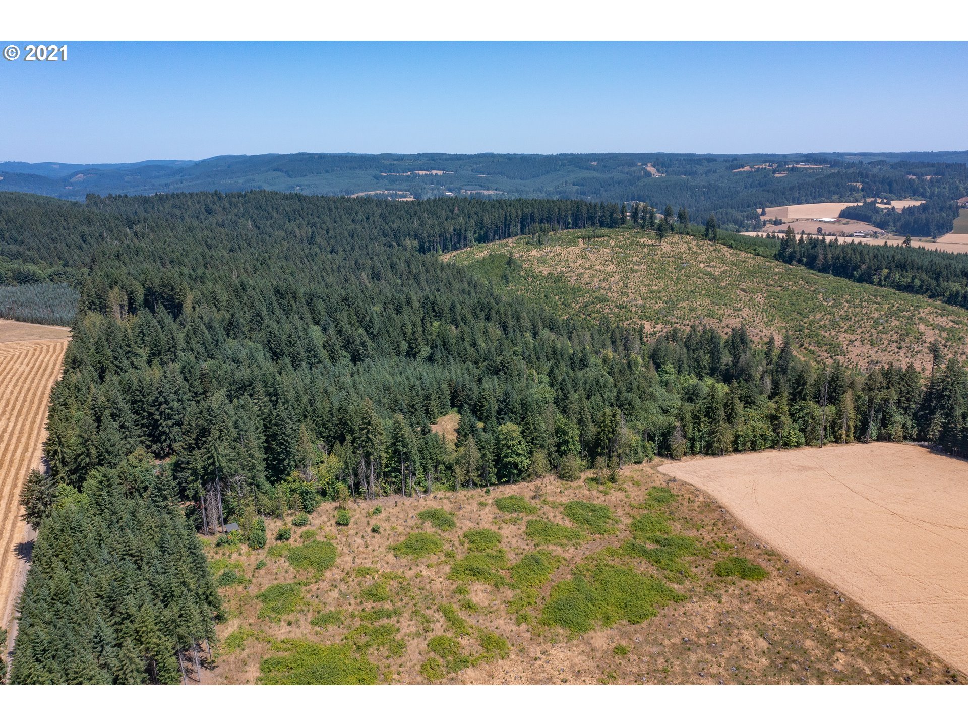 37023 Northwest Hahn Road Banks, OR 97106 - Photo 8 of 32 Gallery Image 8