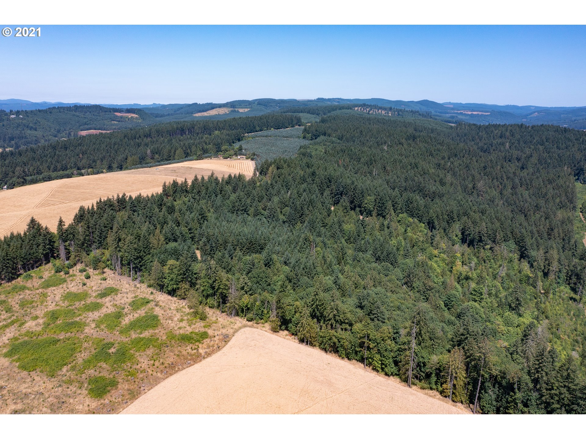 37023 Northwest Hahn Road Banks, OR 97106 - Photo 9 of 32 Gallery Image 9
