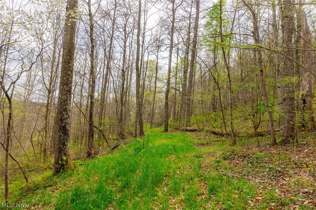 2115 Goss Fork Road, Unit 2 Whipple, OH 45788 - Photo 14 of 23