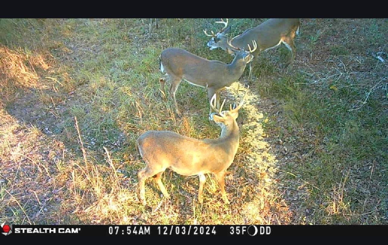 29708 Dyess Dairy Road Opp, AL 36467 - Photo 26 of 49 Gallery Image 26