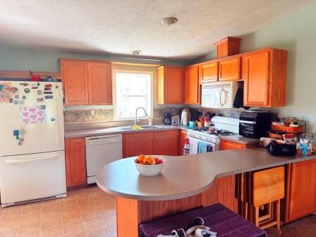 9236 Lake Drive Reed City, MI 49677 - Photo 6 of 12 IMG_1997
