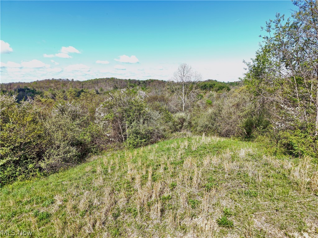 0 Harrons Ridge Road Dexter City, OH 45727 - Photo 28 of 29