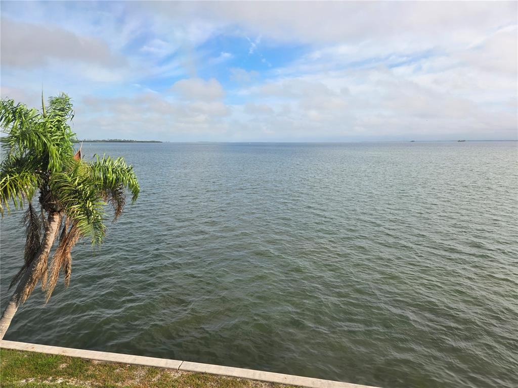 7 Dunoon Place, Unit 309 Dunedin, FL 34698 - Photo 6 of 25