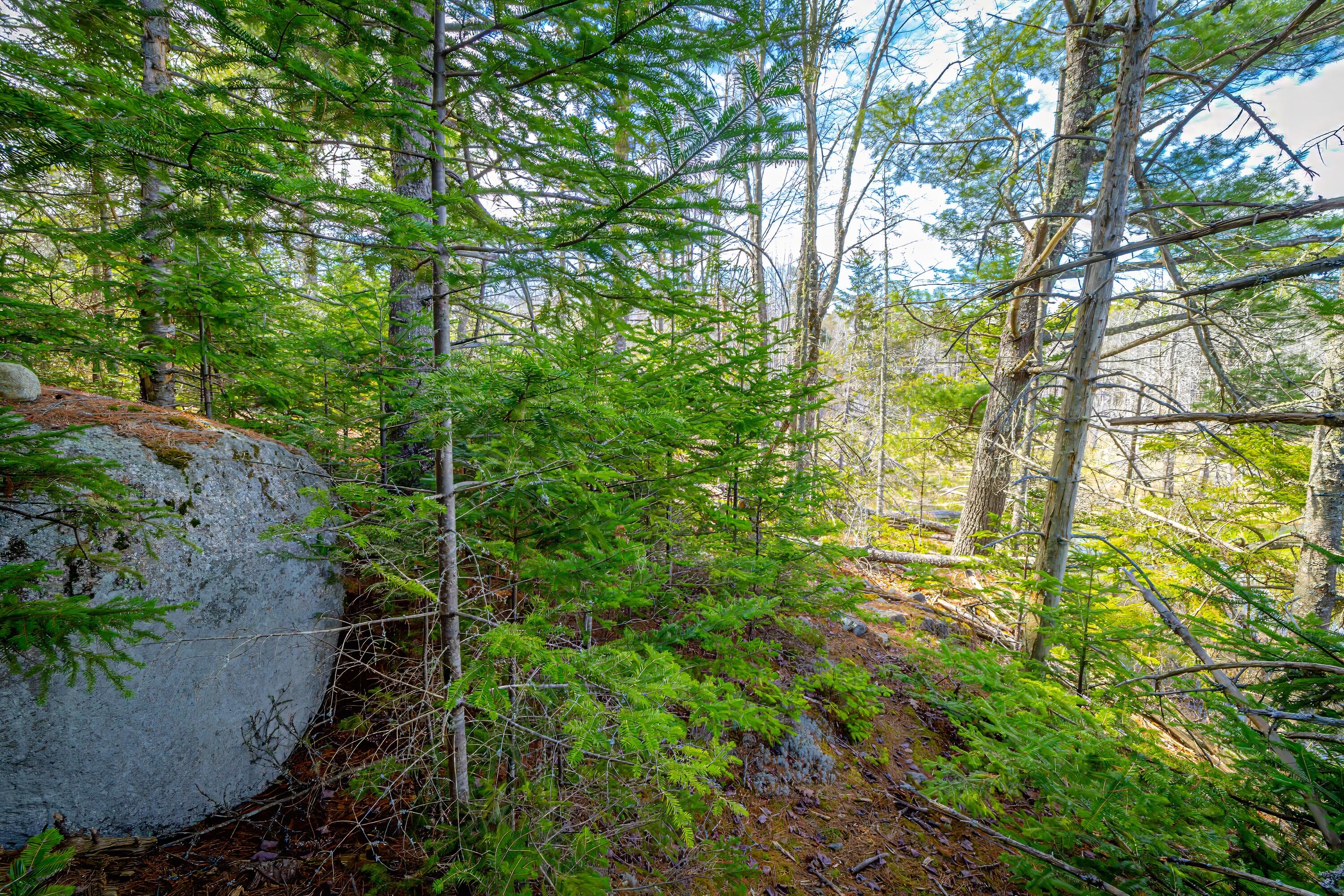 Lot 9 Bluff Road Bar Harbor, ME 04609 - Photo 13 of 33 Copy of 26a-Lot 9, Bluff Road-DTP