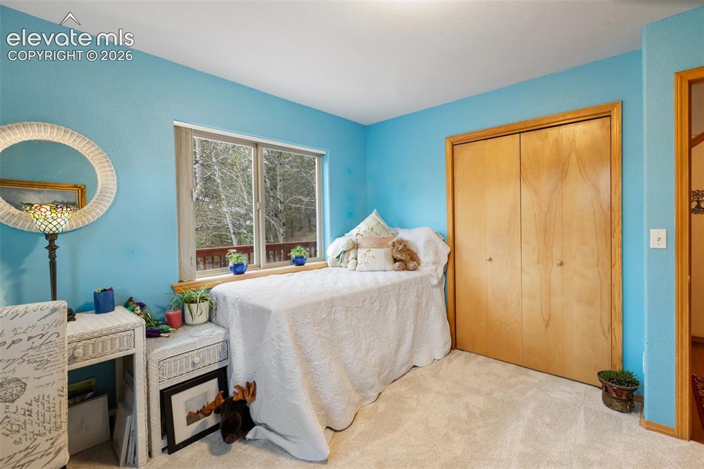996 Spring Valley Drive Divide, CO 80814 - Photo 19 of 47