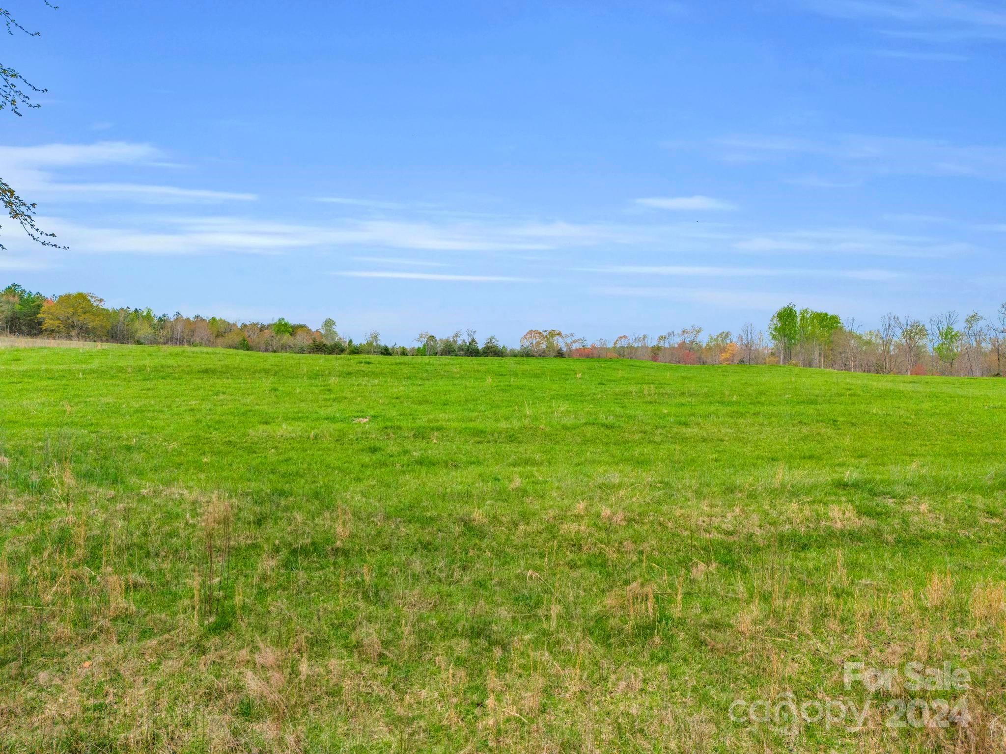0 Jess Lamb Road Rutherfordton, NC 28139 - Photo 11 of 22 a view of a field with an apartment