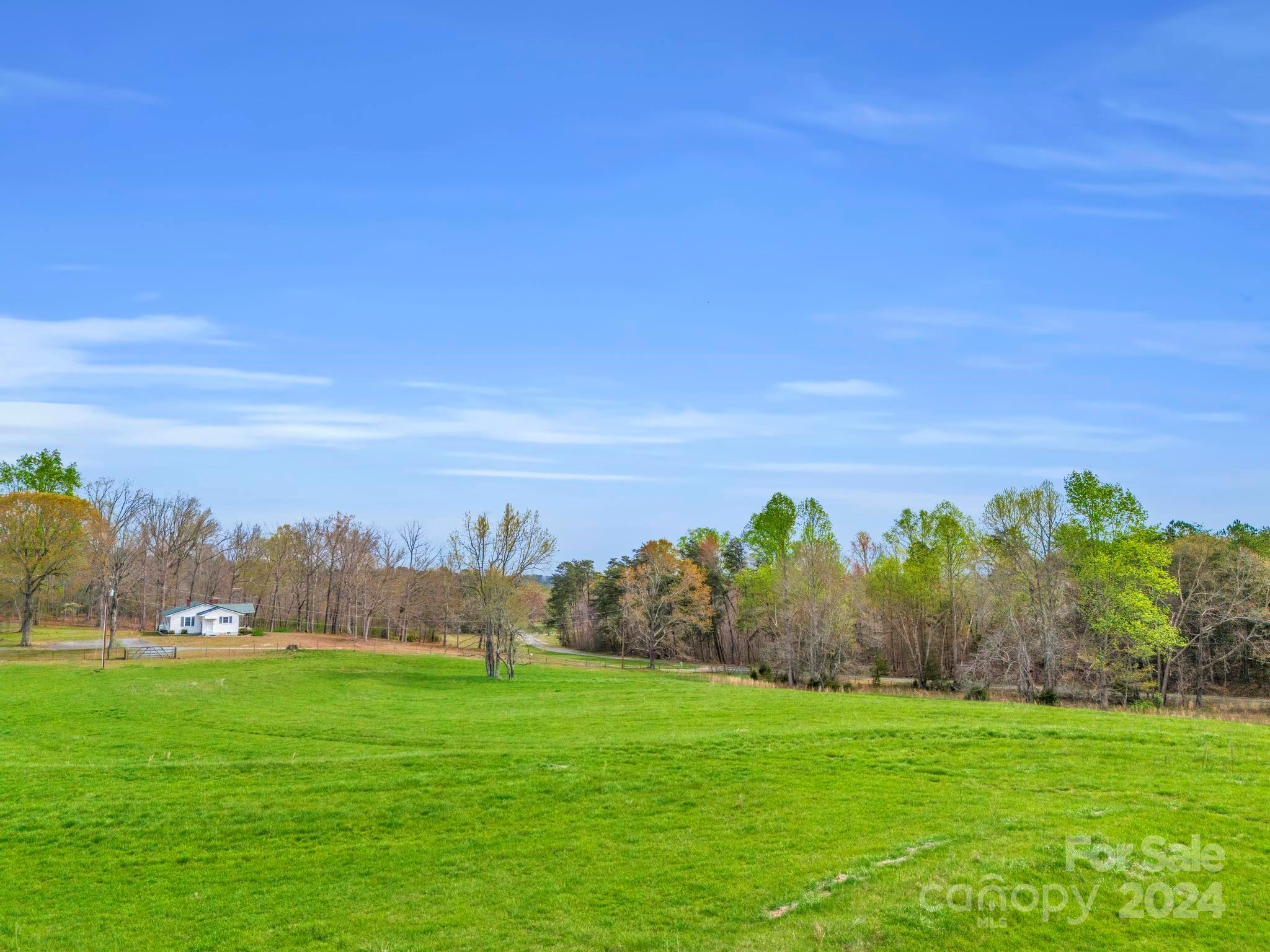 0 Jess Lamb Road Rutherfordton, NC 28139 - Photo 12 of 22 a view of a bunch of trees in background