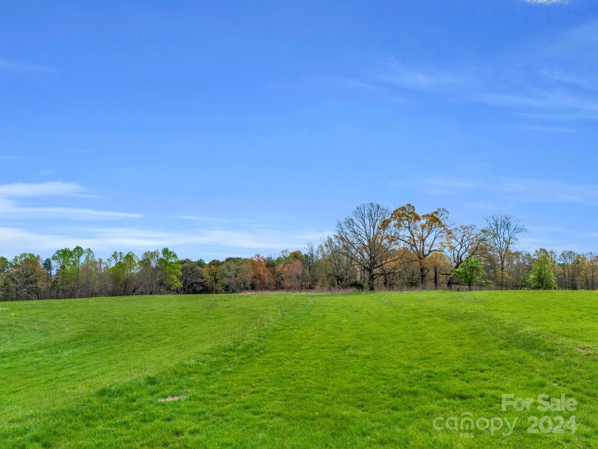 0 Jess Lamb Road Rutherfordton, NC 28139 - Photo 2 of 22 a view of a green field with trees in the background