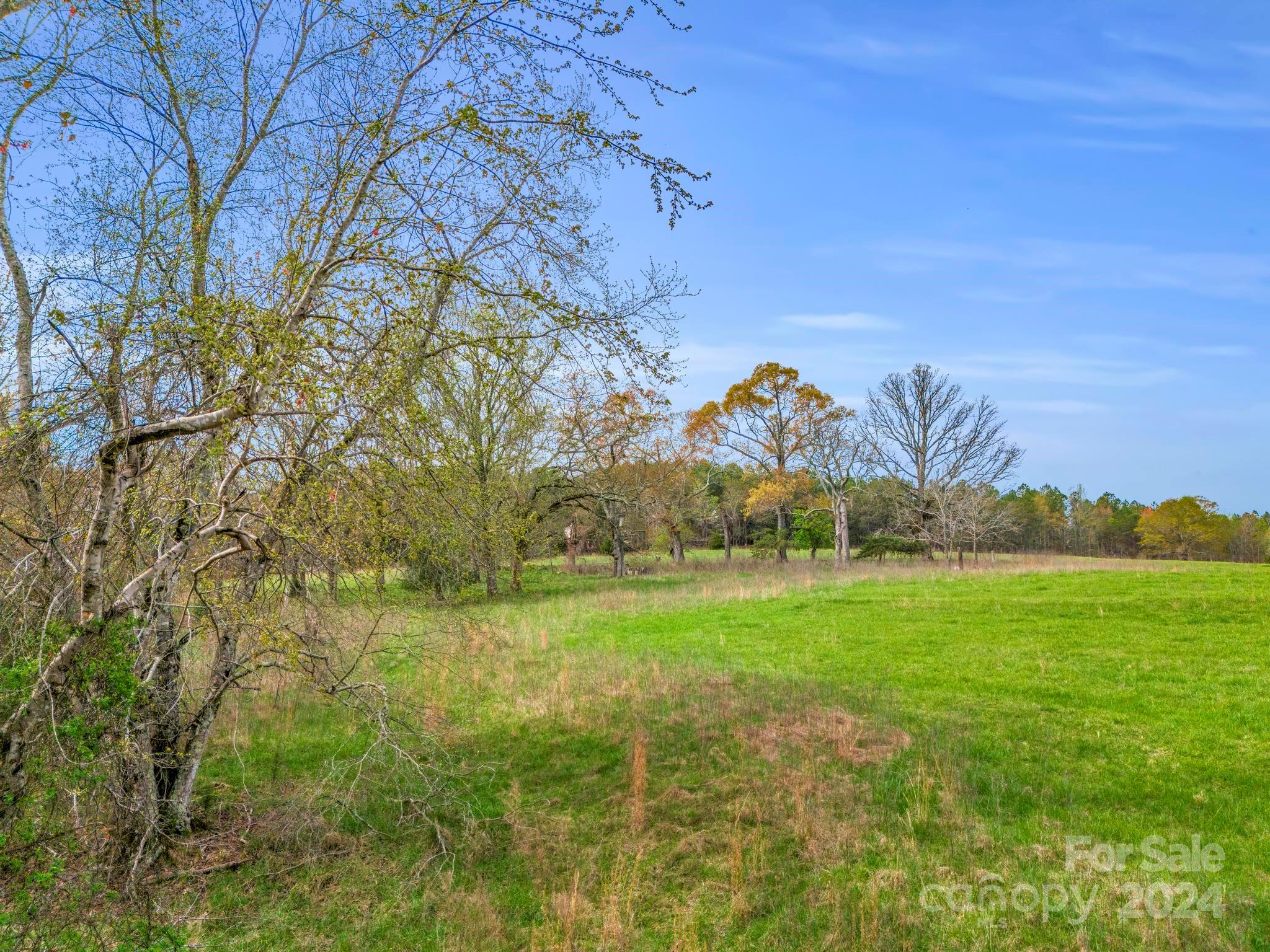 0 Jess Lamb Road Rutherfordton, NC 28139 - Photo 4 of 22 a view of a field with a tree