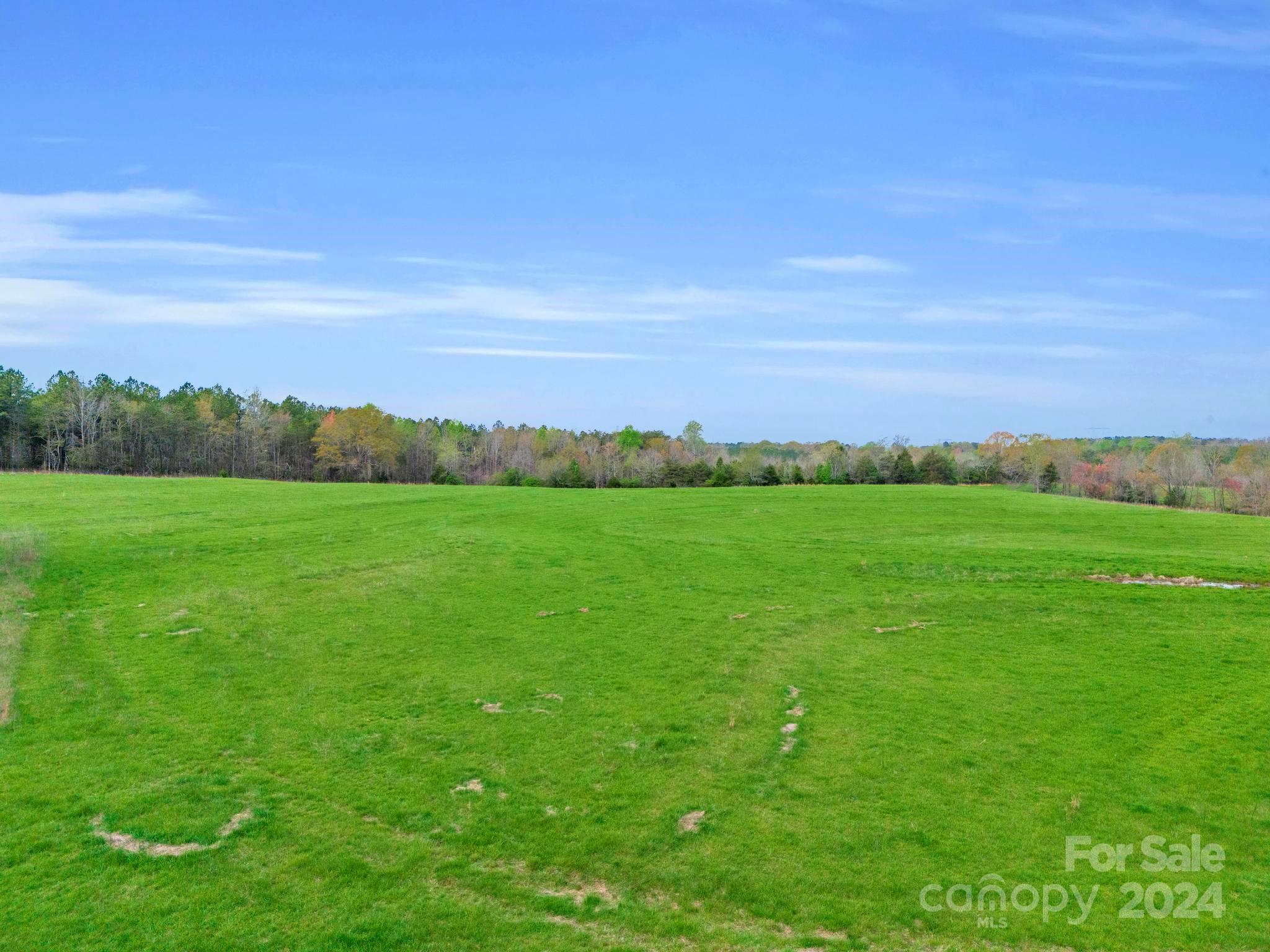 0 Jess Lamb Road Rutherfordton, NC 28139 - Photo 10 of 22 a view of yard with grass and trees