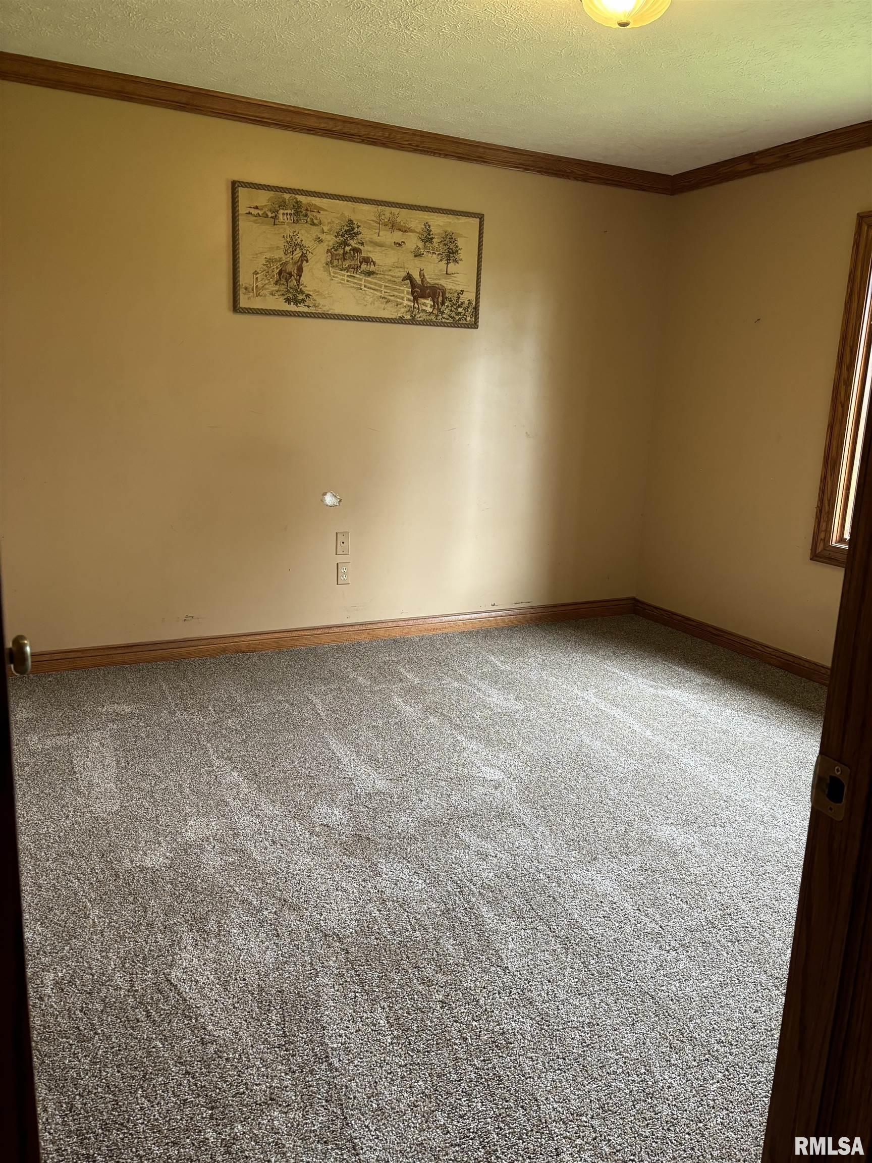 1594 Feazel Road Lacon, IL 61540 - Photo 21 of 52