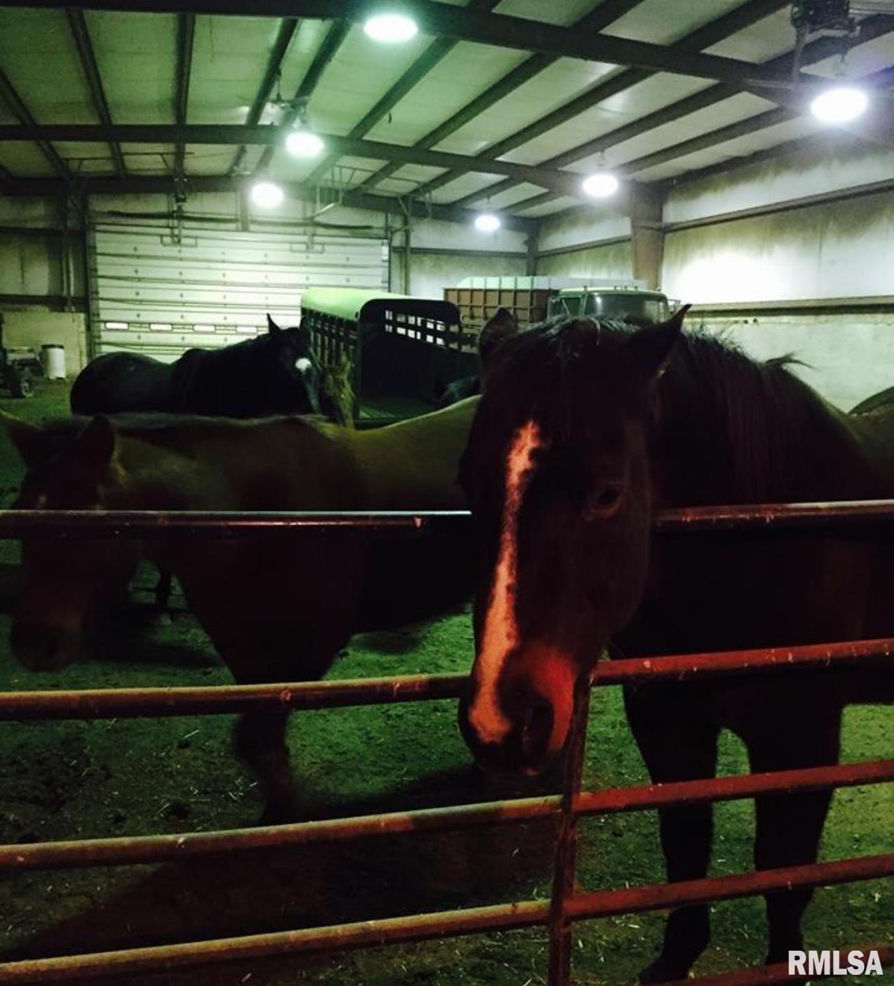 1594 Feazel Road Lacon, IL 61540 - Photo 46 of 52