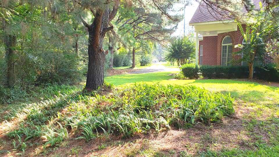 44165 -A Pine Grove Road Bay Minette, AL 36507 - Photo 23 of 26