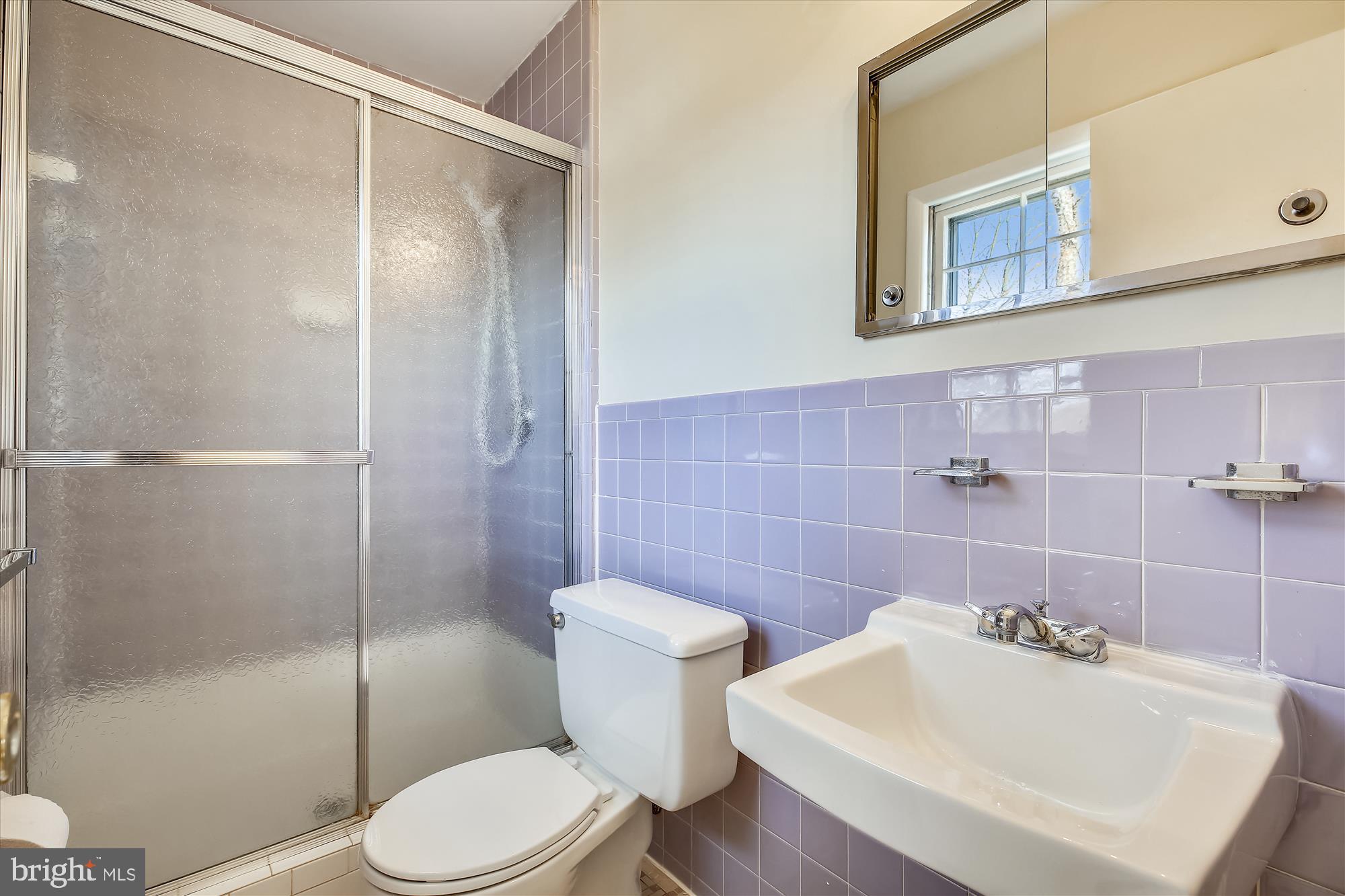 315 Hannes Street Silver Spring, MD 20901 - Photo 16 of 30 Primary Bathroom