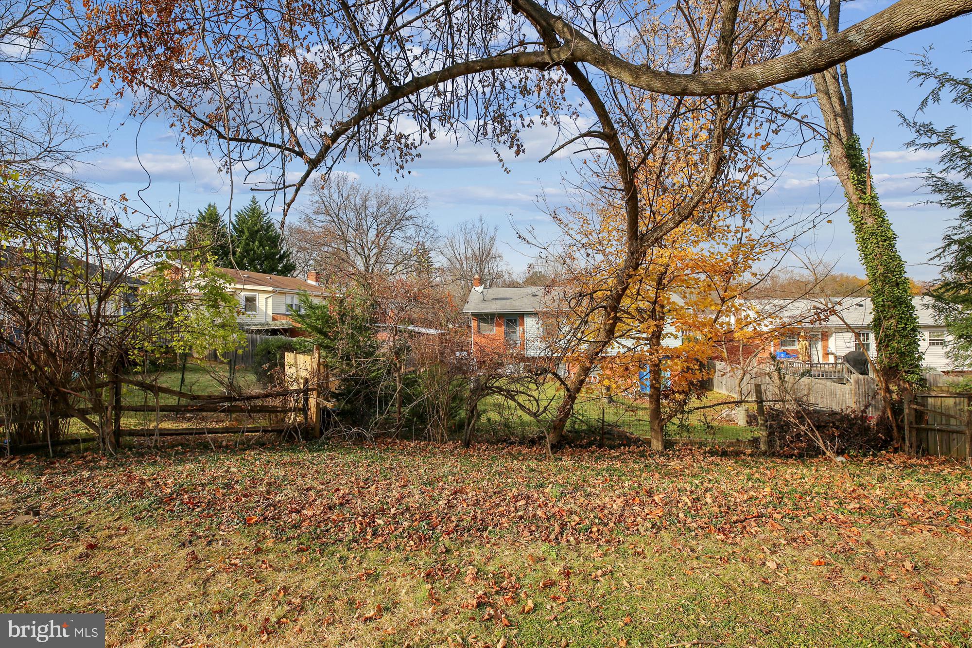 315 Hannes Street Silver Spring, MD 20901 - Photo 28 of 30 View from Back Yard