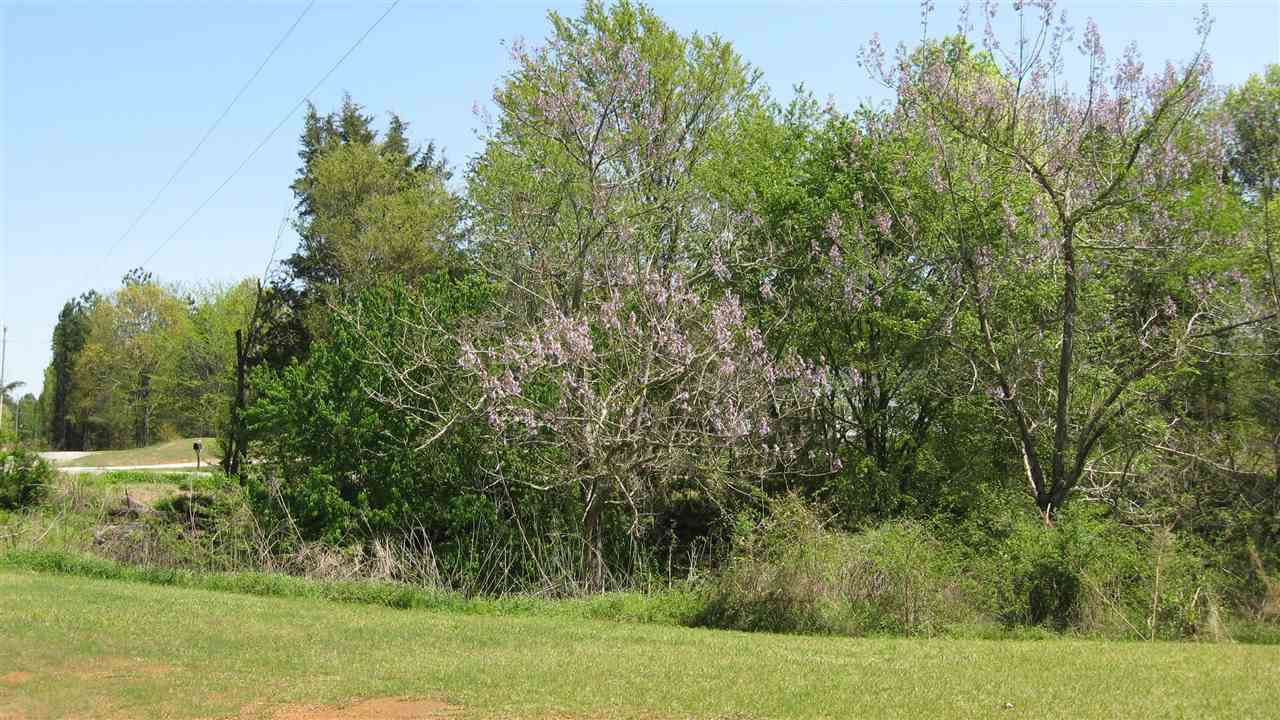 1174 Smith Chapel Road Decaturville, TN 38329 - Photo 3 of 24 Photo 3