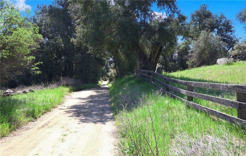 36000 Tenaja Truck Trail Fallbrook, CA 92028 - Photo 19 of 28 a backyard of a house with lots of green space