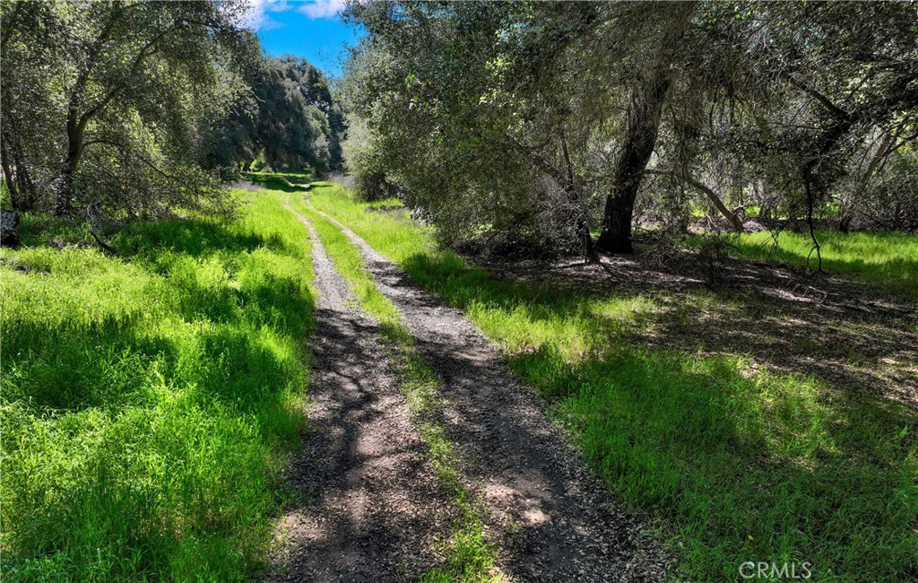 36000 Tenaja Truck Trail Fallbrook, CA 92028 - Photo 22 of 28 a view of swimming pool with a yard