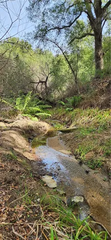 a view of a yard with an outdoor space