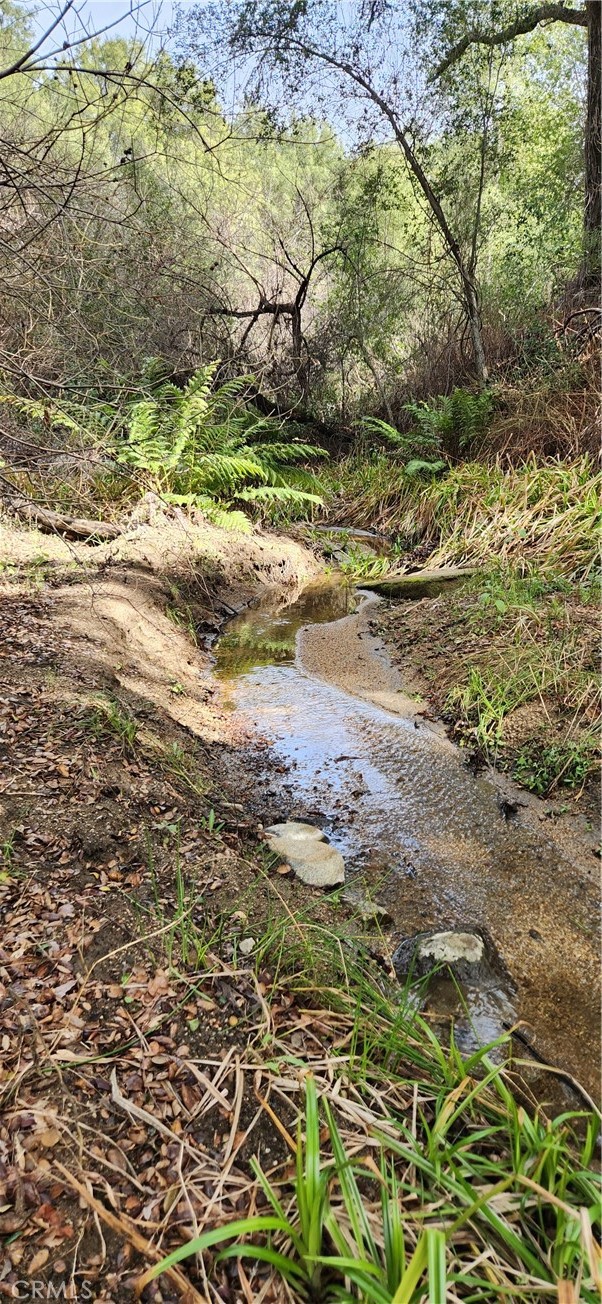36000 Tenaja Truck Trail Fallbrook, CA 92028 - Photo 28 of 28 a view of a yard with a tree