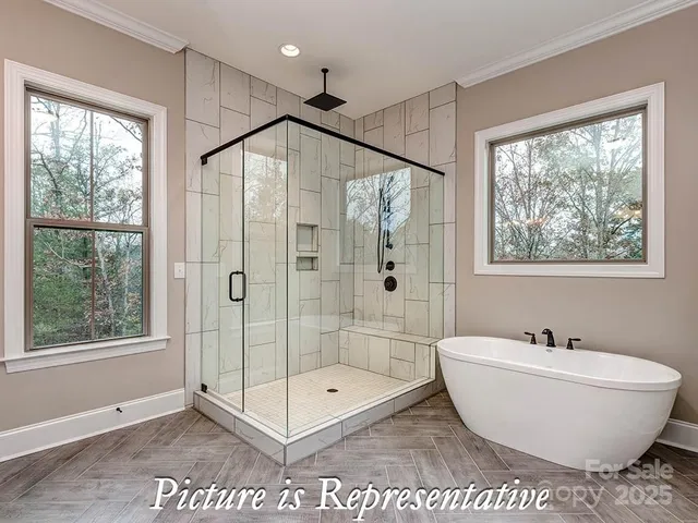 a view of a forest filled with trees